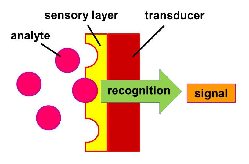 O que é um biossensor, tipos de biossensores e aplicações