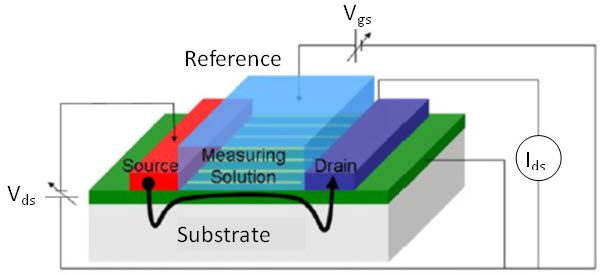 Йон чувствителен полеви транзистор - Работен принцип на ISFET